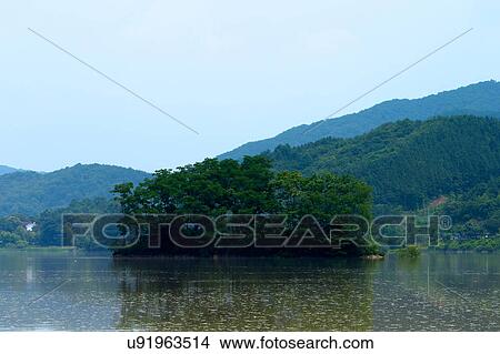 Tree, Nature, Beauty In Nature, Autumn, Leaf, Lush Foliage, Dense View Large Photo Image Picture - Tree, Nature, Beauty In Nature, Autumn, Leaf, Lush Foliage, Dense. Fotosearch