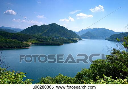 Tree, Nature, Beauty In Nature, Autumn, Leaf, Lush Foliage, Dense View Large Photo Image Stock Photography - Tree, Nature, Beauty In Nature, Autumn, Leaf, Lush Foliage, Dense. Fotosearch