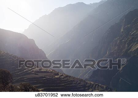 Ancient terraced fields, Colca Canyon, Peru View Large Photo Image Stock Image - Ancient terraced fields, Colca Canyon, Peru. Fotosearch