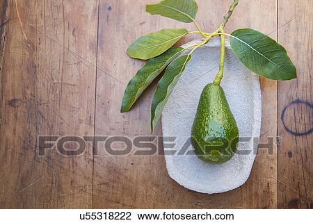 Avocado on plate View Large Photo Image Stock Image - Avocado on plate. Fotosearch