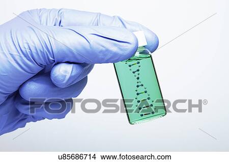 Biology research: hand wearing a nitrile glove is holding a vial with a model of DNA molecule inside View Large Photo Image Picture - Biology research: hand wearing a nitrile glove is holding a vial with a model of DNA molecule inside. Fotosearch