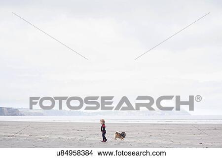 Picture - Boy with dog on beach. Fotosearch