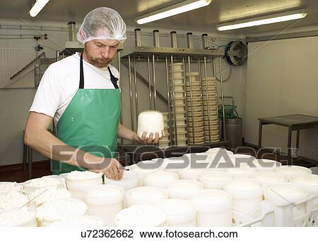 Stock Image - Cheesemaker holding moulded curds at farm factory. Fotosearch