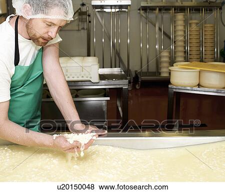 Cheesemaker with handful of curds at farm factory View Large Photo Image Stock Photo - Cheesemaker with handful of curds at farm factory. Fotosearch