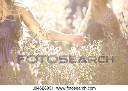 Stock Image - Close up of friends dancing on meadow. Fotosearch