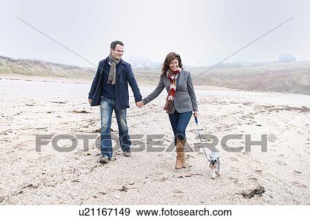 Couple walking with dog on beach, Thurlestone, Devon, UK View Large Photo Image Stock Photo - Couple walking with dog on beach, Thurlestone, Devon, UK. Fotosearch