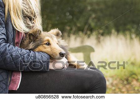 Detail of teenage girl sitting on country bench with dog View Large Photo Image Stock Photo - Detail of teenage girl sitting on country bench with dog. Fotosearch