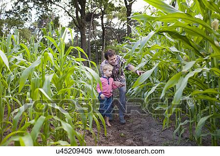 Stock Photography - Farmer and son in field of crops. Fotosearch