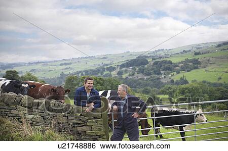 Farmer and son leaning on stone wall and discussing cattle in field View Large Photo Image Stock Photograph - Farmer and son leaning on stone wall and discussing cattle in field. Fotosearch