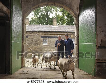 Farmer and son watching sheep enter old barn View Large Photo Image Stock Photo - Farmer and son watching sheep enter old barn. Fotosearch