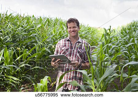Farmer standing in field of crops using digital tablet View Large Photo Image Stock Photography - Farmer standing in field of crops using digital tablet. Fotosearch