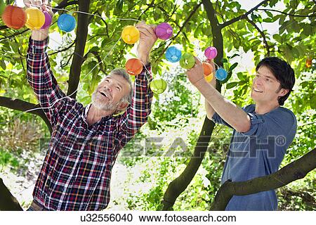Father and adult son putting fairy lights in tree View Large Photo Image Stock Image - Father and adult son putting fairy lights in tree. Fotosearch