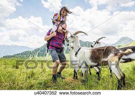 Stock Image - Father and daughter with goats, Tyrol, Austria. Fotosearch