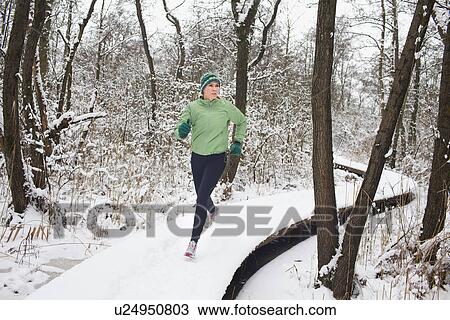Female running on elevated forest walkway in winter View Large Photo Image Stock Image - Female running on elevated forest walkway in winter. Fotosearch