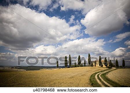 Stock Photo - Field and clouds, Siena, Valle Orcia, Tuscany, Italy. Fotosearch