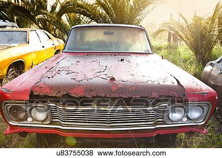 Front view of vintage car in scrap yard View Large Photo Image Stock Photo - Front view of vintage car in scrap yard. Fotosearch