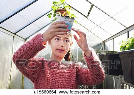 Girl holding plant pot, looking at roots View Large Photo Image Picture - Girl holding plant pot, looking at roots. Fotosearch