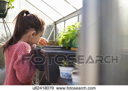 Girl looking at plants View Large Photo Image Stock Photo - Girl looking at plants. Fotosearch