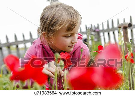 Picture - Girl looking at red flowers. Fotosearch