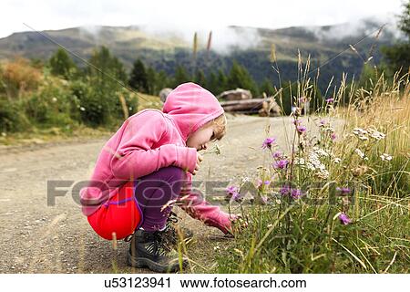 Girl on walk in mountain, stopped to look at flowers View Large Photo Image Stock Image - Girl on walk in mountain, stopped to look at flowers. Fotosearch