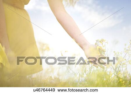Girl touching flowers on meadow View Large Photo Image Stock Photo - Girl touching flowers on meadow. Fotosearch