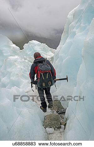 Ice climber on Fox Glacier, South Island, New Zealand View Large Photo Image Stock Image - Ice climber on Fox Glacier, South Island, New Zealand. Fotosearch