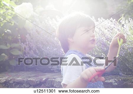 Stock Image - Male toddler playing in garden in sunlight. Fotosearch