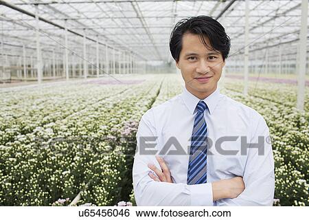 Stock Photograph - Man standing in front of rows of plants growing in greenhouse. Fotosearch