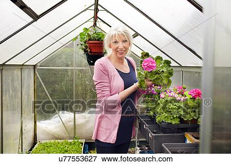 Stock Photo - Mature woman tending flowers in greenhouse. Fotosearch