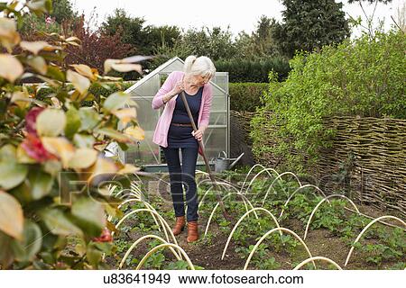 Stock Photo - Mature woman working in vegetable garden. Fotosearch