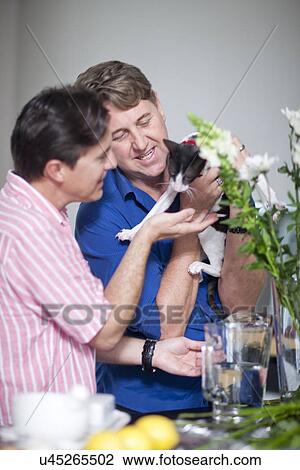 Stock Image - Men stroking kitten. Fotosearch