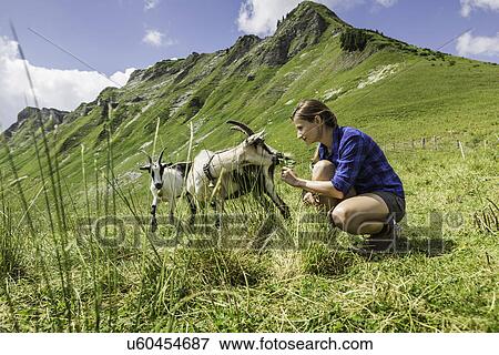 Stock Photo - Mid adult woman with goats, Tyrol, Austria. Fotosearch