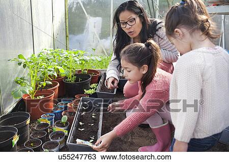 Stock Image - Mother and daughter planting seedlings. Fotosearch