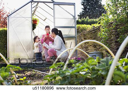 Mother with two daughters in greenhouse View Large Photo Image Stock Photograph - Mother with two daughters in greenhouse. Fotosearch