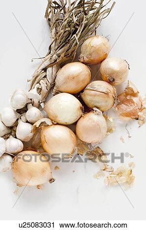 Onions and garlic View Large Photo Image Stock Image - Onions and garlic. Fotosearch