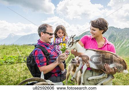 Stock Photograph - Parents and daughter feeding goats, Tyrol, Austria. Fotosearch