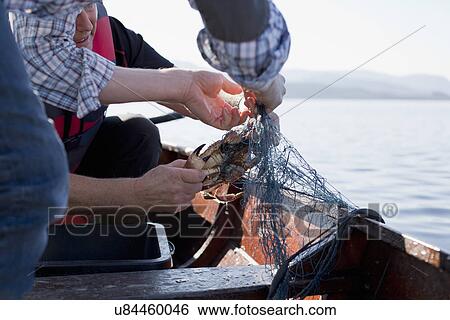 Stock Photograph - People on boat fishing for crabs, Aure, Norway. Fotosearch