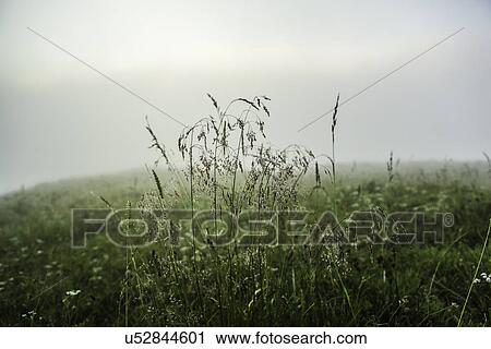 Remote landscape, Tirol, Austria View Large Photo Image Stock Image - Remote landscape, Tirol, Austria. Fotosearch