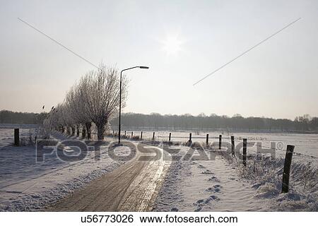 Rural icy road cleared of snow in winter View Large Photo Image Stock Photograph - Rural icy road cleared of snow in winter. Fotosearch