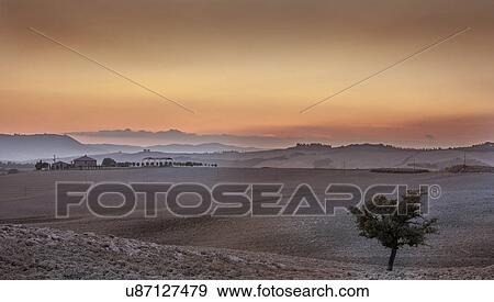 Rural scene, Siena, Valle Orcia, Tuscany, Italy View Large Photo Image Stock Photo - Rural scene, Siena, Valle Orcia, Tuscany, Italy. Fotosearch