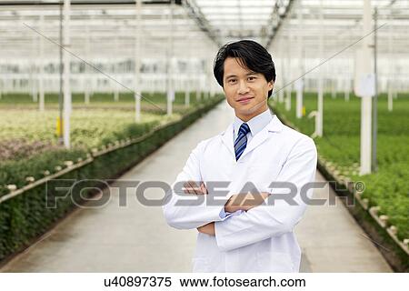 Stock Photography - Scientist standing in front of rows of plants growing in greenhouse, arms folded. Fotosearch
