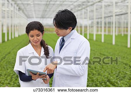 Scientists in greenhouse, using digital tablet View Large Photo Image Stock Image - Scientists in greenhouse, using digital tablet. Fotosearch