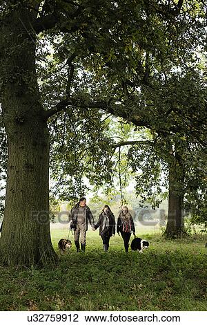 Senior couple and granddaughter walking dogs, Norfolk, UK View Large Photo Image Stock Image - Senior couple and granddaughter walking dogs, Norfolk, UK. Fotosearch