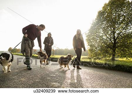 Stock Photo - Senior couple and granddaughter with dogs, Norfolk, UK. Fotosearch