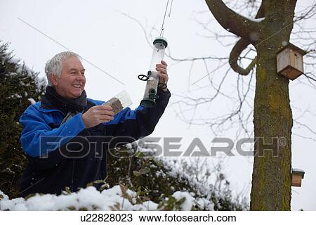 Senior man filling bird feeders in garden in winter View Large Photo Image Stock Image - Senior man filling bird feeders in garden in winter. Fotosearch