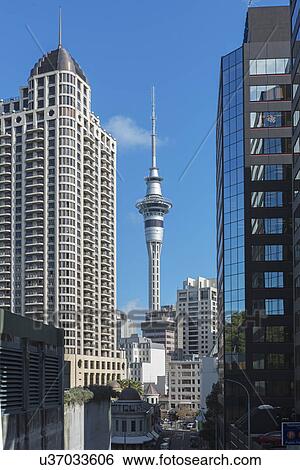 Sky tower, Auckland, North Island, New Zealand View Large Photo Image Stock Photograph - Sky tower, Auckland, North Island, New Zealand. Fotosearch