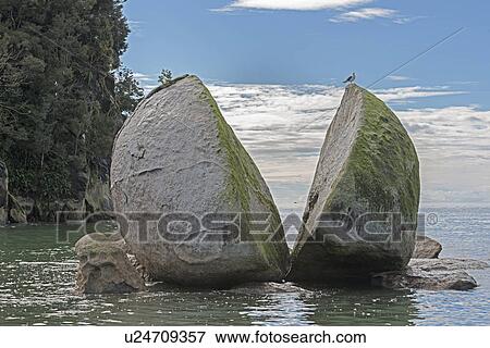 Stock Photo - Split Rock on Kaiteriteri coast, South Island, New Zealand. Fotosearch