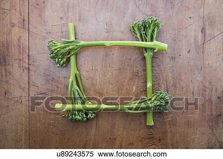 Square of broccoli View Large Photo Image Stock Photography - Square of broccoli. Fotosearch