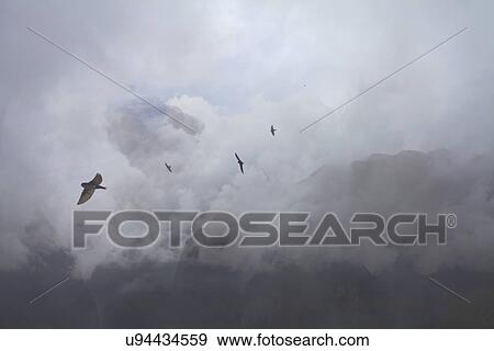 Swallows flying above mountain tops, Machu Picchu, Peru View Large Photo Image Stock Photo - Swallows flying above mountain tops, Machu Picchu, Peru. Fotosearch