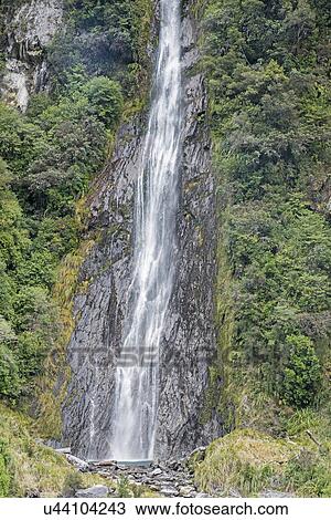 Thunder Creek falls, Haast Pass, Mount Aspiring National Park, South Island, new Zealand View Large Photo Image Stock Image - Thunder Creek falls, Haast Pass, Mount Aspiring National Park, South Island, new Zealand. Fotosearch